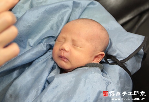 鄭寶寶(新北板橋區到府嬰兒寶寶滿月剃頭理髮、免費到府嬰兒剃胎毛儀式吉祥話)。到府剃頭剃胎毛主持、專業拍照、DVD光碟、證書。★購買「臍帶章、肚臍章、胎毛筆刷印章」贈送：剃頭、收涎、抓周，三選一。2015.10.27 照片17
